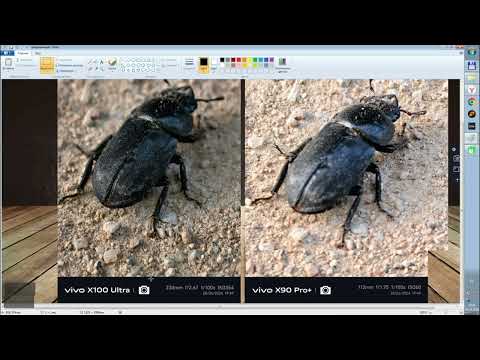 Видео: Vivo x100 ultra vs vivo x90 Pro+ Photo compare/стоит ли покупать x90 Pro+ в 2024 году, флагман 2022г