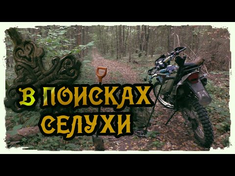 Видео: ЛЕСНОЙ КОП / ИЩУ ДРЕВНИЕ АРТЕФАКТЫ В ГЛУХОМ ЛЕСУ !!