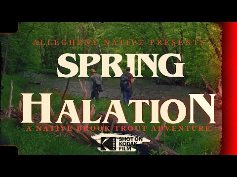 Видео: Приключения с местной ручьевой форелью | Снято на 16-мм плёнку Kodak | Северная Пенсильвания