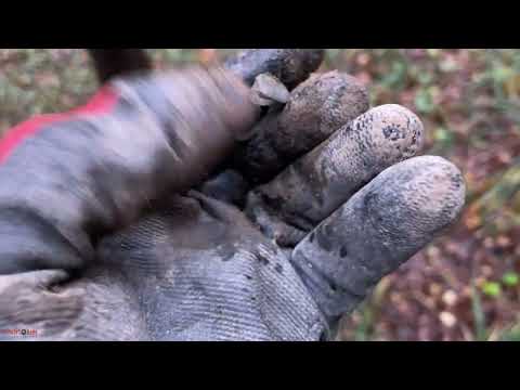 Видео: Нашел находки на старинной лесной дороге