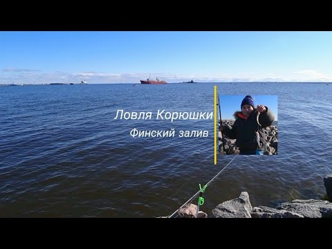 Видео: Ловля Корюшки Март 2020. ФИНСКИЙ ЗАЛИВ.