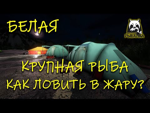 Видео: Русская рыбалка 4. рр4. Белая. Как ловить крупную рыбу в жару?