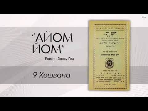 Видео: «Айом йом» («Сегодня день») с раввином Элияу Гэцем: 9 Хешвана