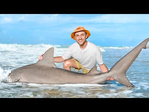 Видео: Экстремальная Рыбалка на Гигантских Акул.
