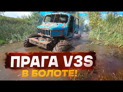 Видео: Прага V3S 6x6 на больших колёсах покоряет болото!!! Prague V3S 6x6 on big wheels conquers the swamp!