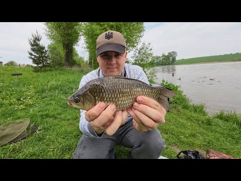 Видео: Рибалка с. Бабин.  На що ловити, фідер чи поплавок?