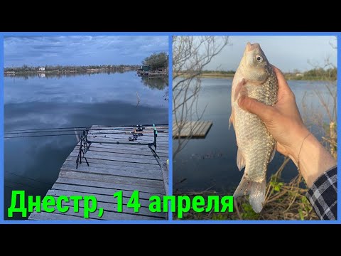 Видео: Рыбалка на Днестре, Маяки 42км! Сильное течение. Отличный отдых на природе + КОНКУРС