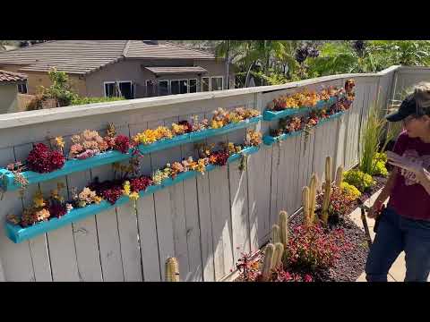 Видео: Целый день ухода за одним из моих любимых суккулентных садов