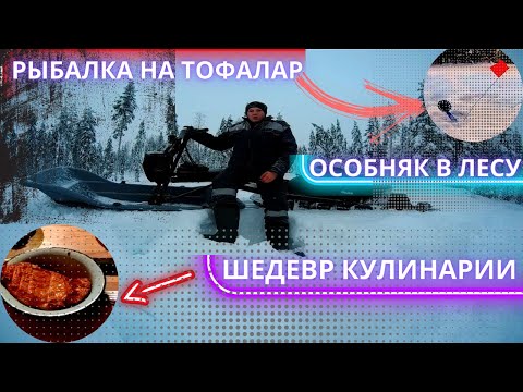 Видео: Рыбалка на ТОФАЛАР.ЛОВИМ ЩУКУ.ГОТОВИМ ДЕЛИКАТЕСЫ.