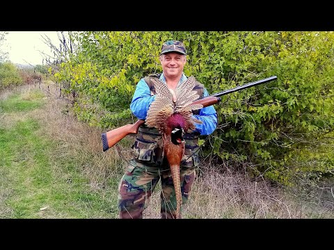 Видео: Лов на Фазан България (Част-1) HD