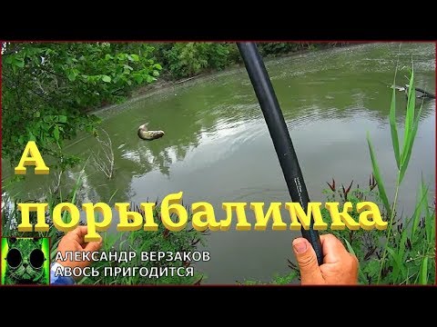 Видео: А порыбалимка. От толстолоба к сомику.