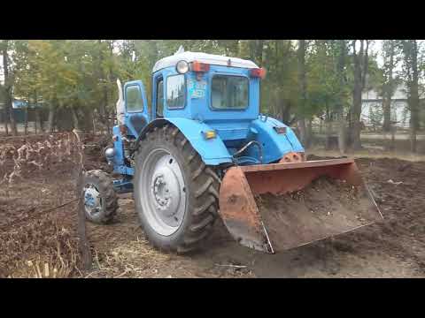 Видео: Трактор т40 .Ташим навоз на огород.Работа с ковшом