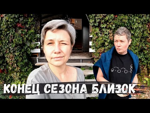 Видео: Подготовка к закрытию дачного сезона | Осень на даче | Стейк из арбуза | Влог