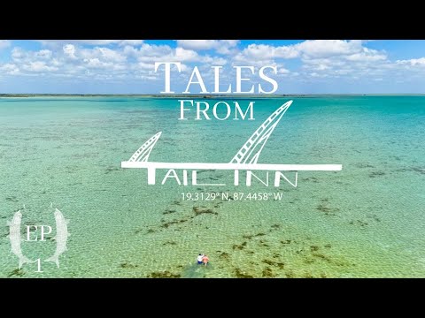 Видео: Ловля рыбы-костлявки, тарпона и разрешение на ловлю рыбы нахлыстом в новом домике | Истории из го...