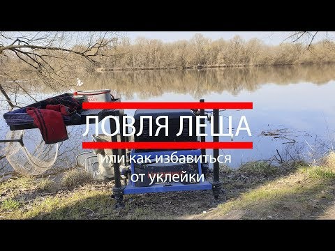Видео: Ловля леща или как избавиться от уклейки