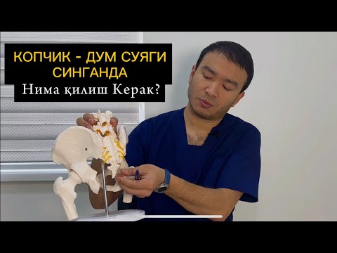 Видео: Копчик - дум суяги синганда нима қилиш керак ☎️ +998-88-115-03-00