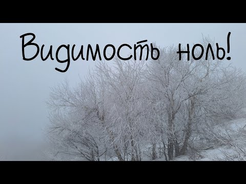 Видео: неожиданная встреча в густом тумане на горе Бештау
