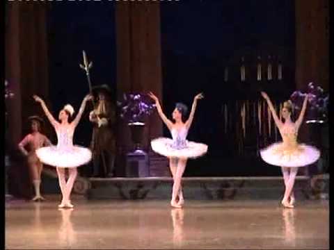 Видео: Спящая. 1.6.15. Мариинский. 3 акт. Начало. Сирень Шапран