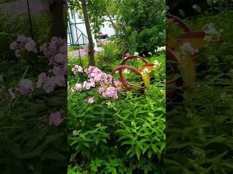 Видео: Не выдуманная история связанная с Гражданами из Семипалатинска