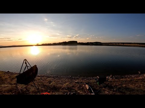 Видео: Язовир Берсин - августовски риболов на амури  и толстолоби.