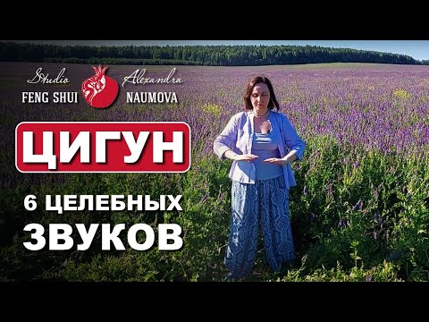 Видео: Цигун 6 Целительных Звуков все упражнения