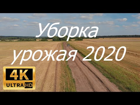Видео: Уборка урожая 2020