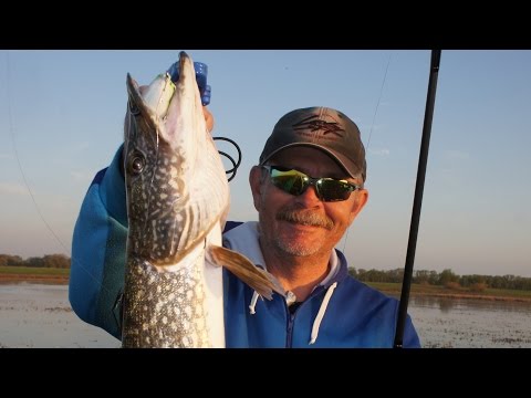 Видео: Константин Кузьмин. Рыбалка в Калмыкии (часть третья).