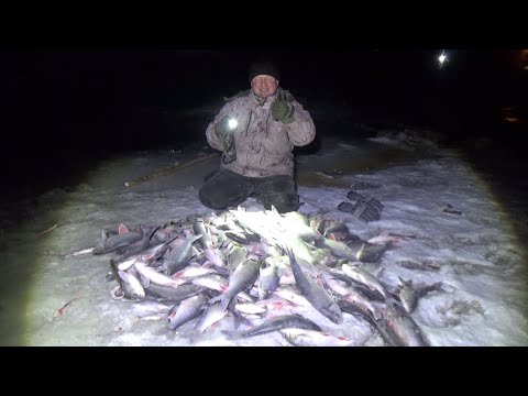 Видео: Гонял ее дубиной по всей речке. Рыбалка на паук подъёмник.