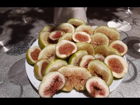 Видео: Обрезка и укрытие на зиму кустов инжира .