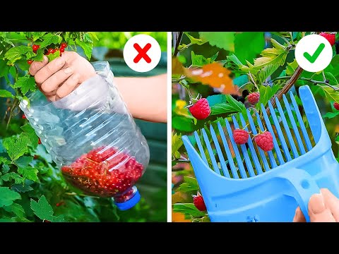 Видео: Тайны садоводов: хитрости для цветущего рая! 🌺🔍