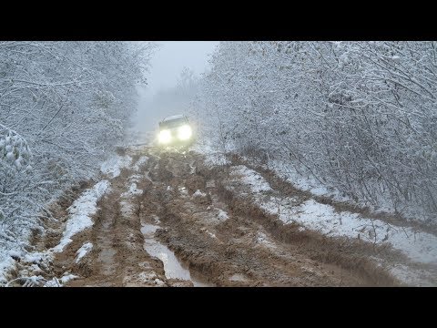 Видео: Телепорт "Кологрив - Понга - Панкратово". Прорубаем окно на север!