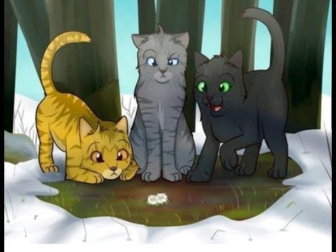 Видео: Коты Воители - Клип Там Где Нас Нет (Заказ)