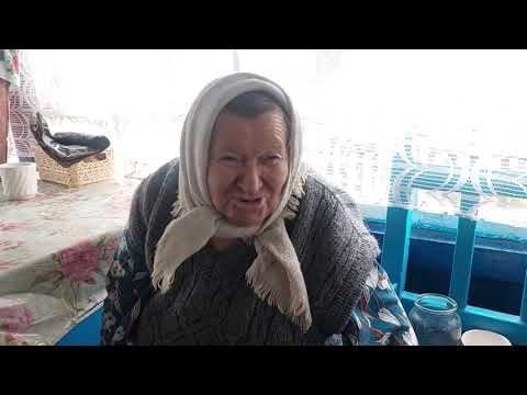 Видео: Чудесный день с Золотушкой и Владимиром