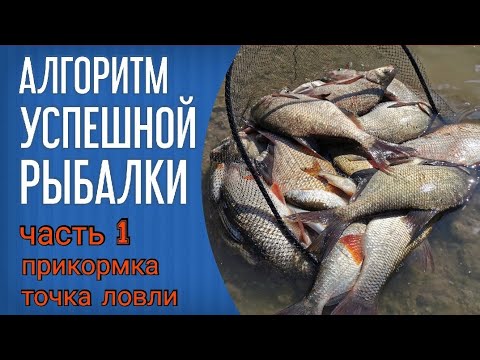 Видео: Алгоритм успешной рыбалки на фидер. Часть 1. Прикормка и точка ловли.