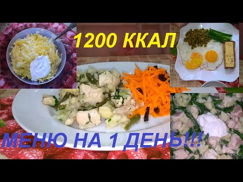 Видео: ЭТО СМОЖЕТ КАЖДЫЙ! СУПЕР БЫСТРОЕ МЕНЮ НА 1 ДЕНЬ НА 1200 ККАЛ! ЧТО ЕСТЬ В ТЕЧЕНИЕ ДНЯ! СУПЕР УЖИН ПП!
