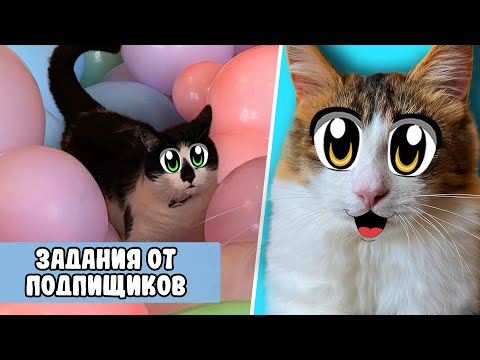Видео: ЗАДАНИЯ ОТ ПОДПИСЧИКОВ: 24 ЧАСА ЧЕЛЛЕНДЖ! ДЕНЬ В ШКОЛЕ КОТОВ! НАПОЛНИЛИ ВЕСЬ ДОМ ГИГАНТСКИМИ ШАРАМИ