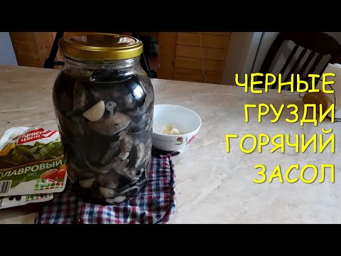 Видео: ЧЕРНЫЕ ГРУЗДИ ГОРЯЧИЙ ЗАСОЛ 🍄 ЧЕРНУШКИ #грибы#рецепты