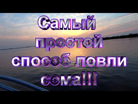 Видео: Самый простой способ ловли сома!!!