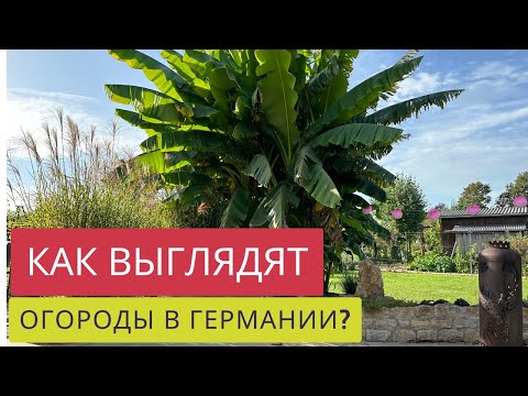 Видео: ПОБЫВАЛИ В ГЕРМАНИИ и увидели огороды! Лучше или хуже,чем в Швейцарии?