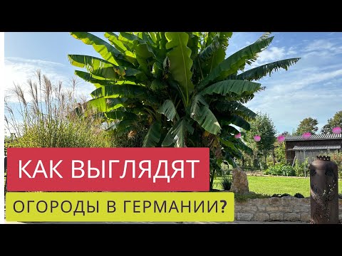 Видео: ПОБЫВАЛИ В ГЕРМАНИИ и увидели огороды! Лучше или хуже,чем в Швейцарии?