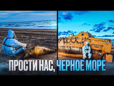 Видео: Разлив мазута в чёрном море
