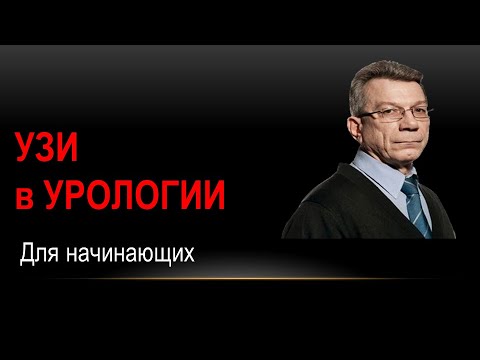 Видео: Ультразвуковое исследование предстательной железы (эхосемиотика структурных изменений).