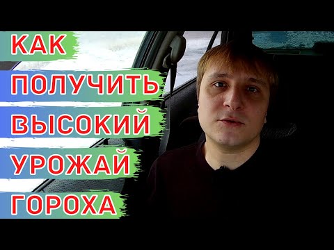 Видео: Схема питания для гороха. Минеральные удобрения и листовые подкормки