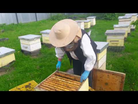 Видео: Магазин под гнездовым корпусом. Как это работает?