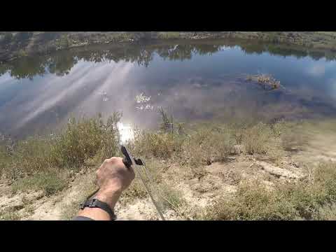 Видео: Раз два 