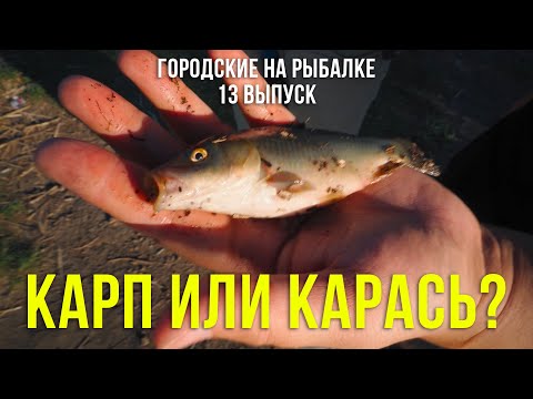 Видео: Кайнар | Рыбалка и отличный отдых |  Городские на рыбалке | Выпуск 13
