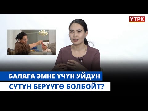 Видео: Балага эмне үчүн уйдун сүтүн берүүгө болбойт? | "БӨБӨК" КӨРСӨТҮҮСҮ