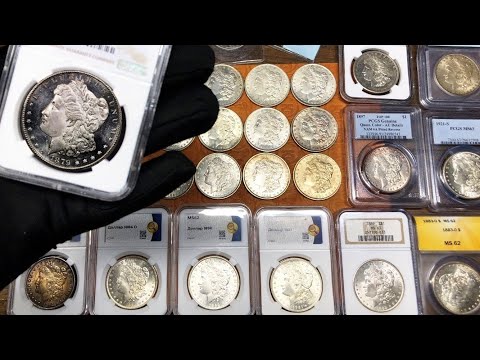 Видео: МОРГАН ДОЛЛАР - ОГРОМНЫЙ РОСТ ЗА ГОД / ОБЗОР МОЕЙ КОЛЛЕКЦИИ / #нумизматика #монеты