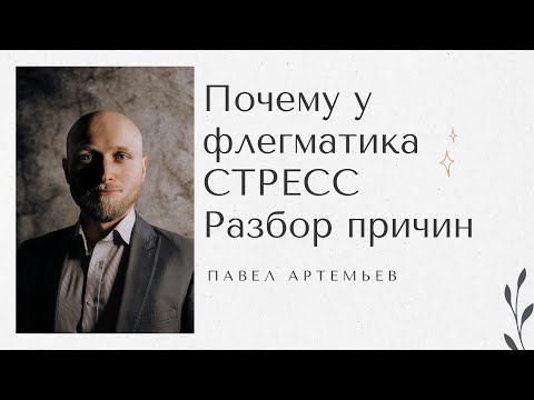 Видео: Подверженность флегматика стрессорной нагрузке. Павел Артемьев.