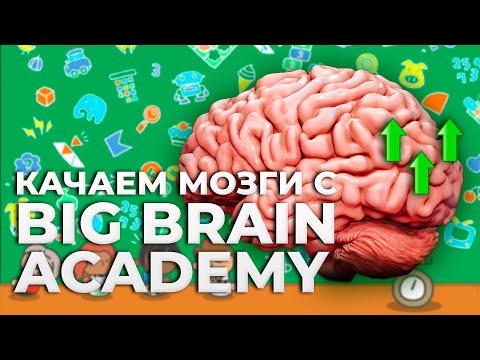 Видео: Обзор Big Brain Academy: Brain vs. Brain